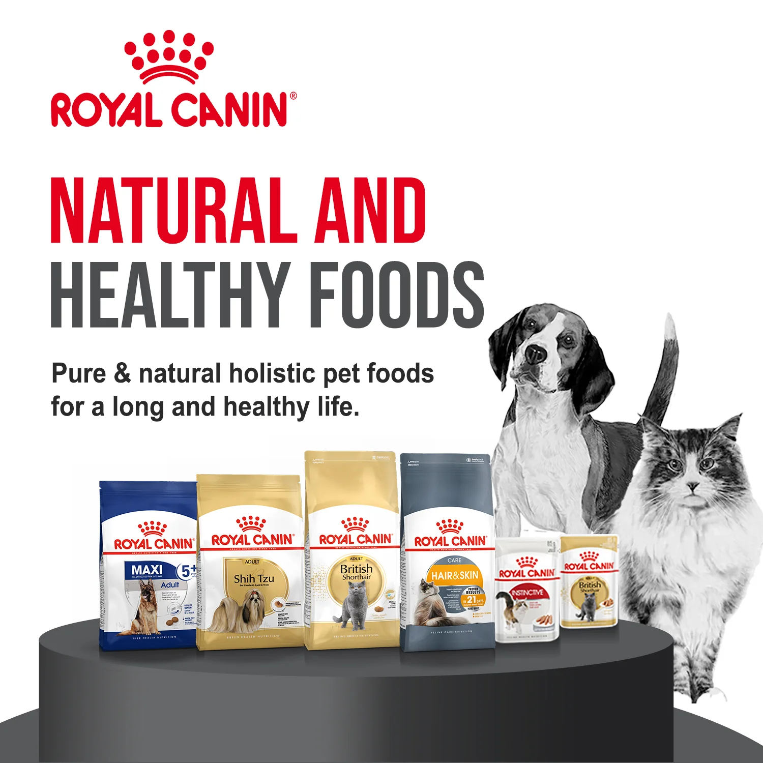 Premium Care for Every Pet