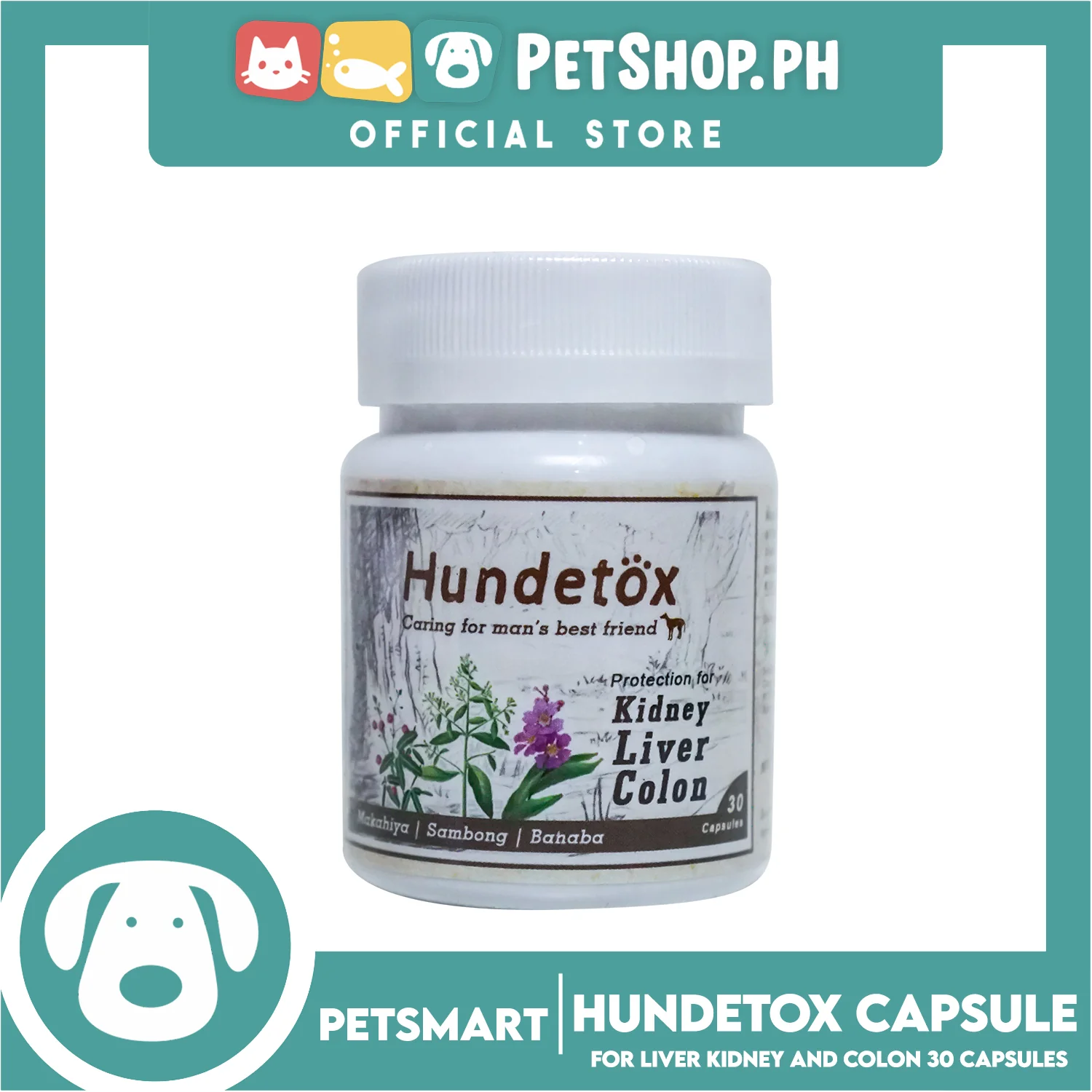 Hundetox Supplement 30 Capsule Protection for Kidney, Liver, Colon for Dogs