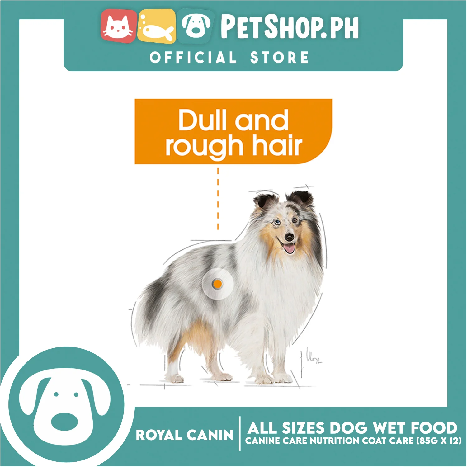 Royal Canin Coat Care Loaf (85g x 12) Adult Wet Dog Food - Canine Care Nutrition - Image 3