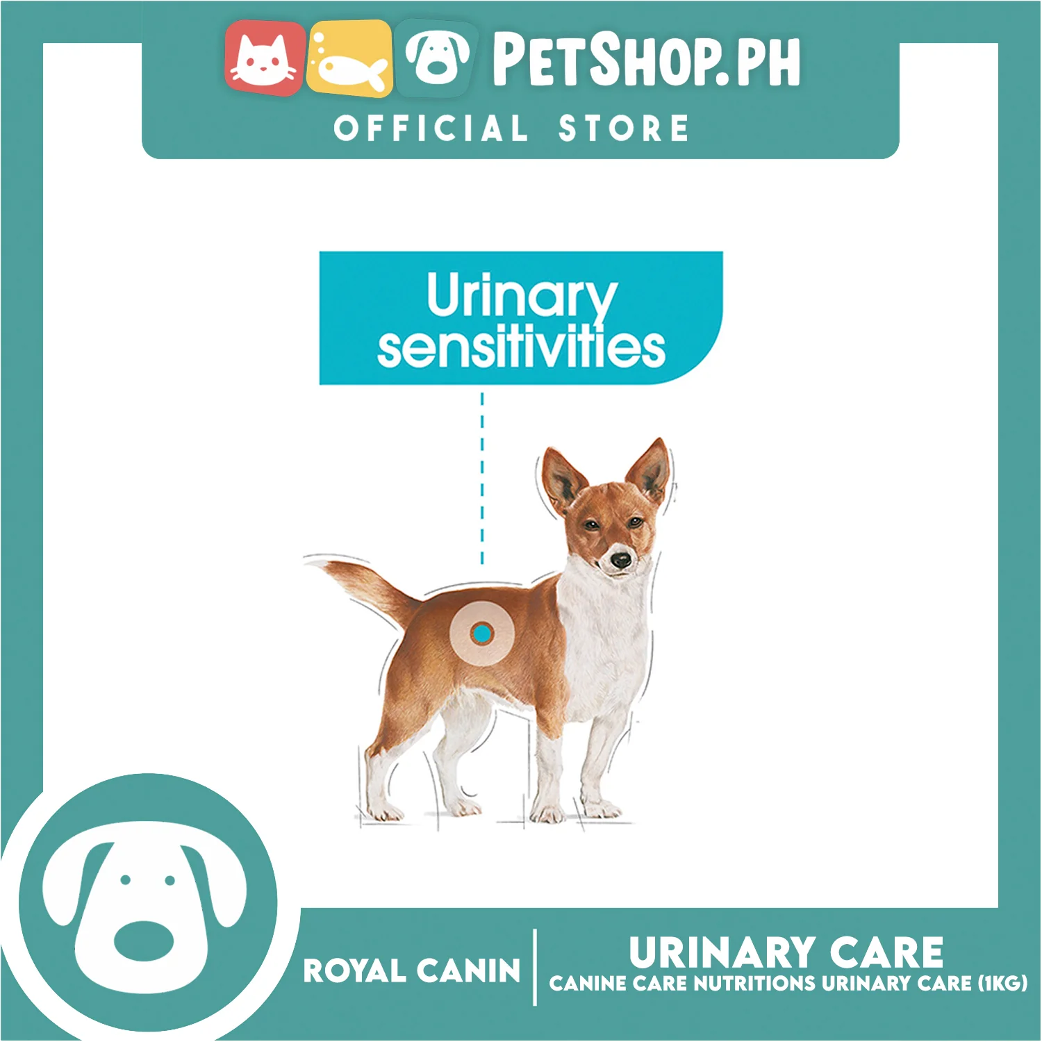 Royal Canin Mini Urinary Care (1kg) Adult Dry Dog Food - Canine Care Nutrition - Image 4