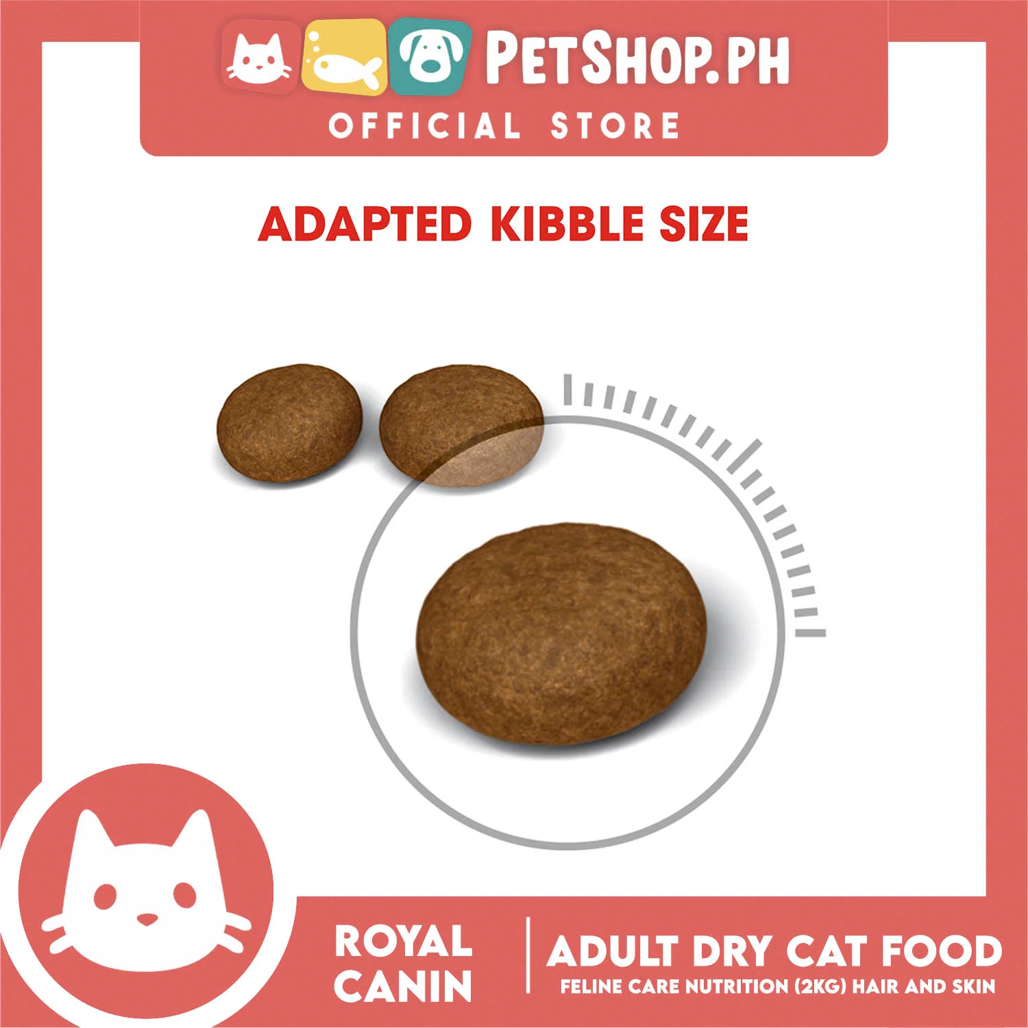 Royal Canin Hair & Skin Care (2kg) Adult Dry Cat Food - Feline Care Nutrition - Image 4